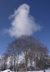 木と雲