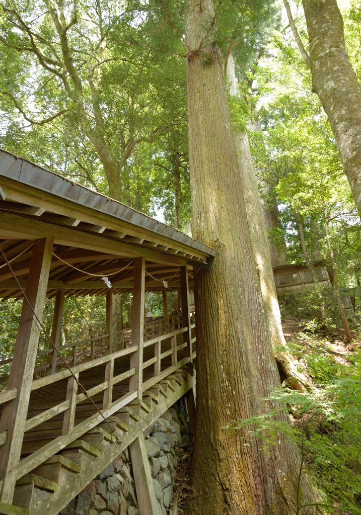 丹生川上神社下社の奥