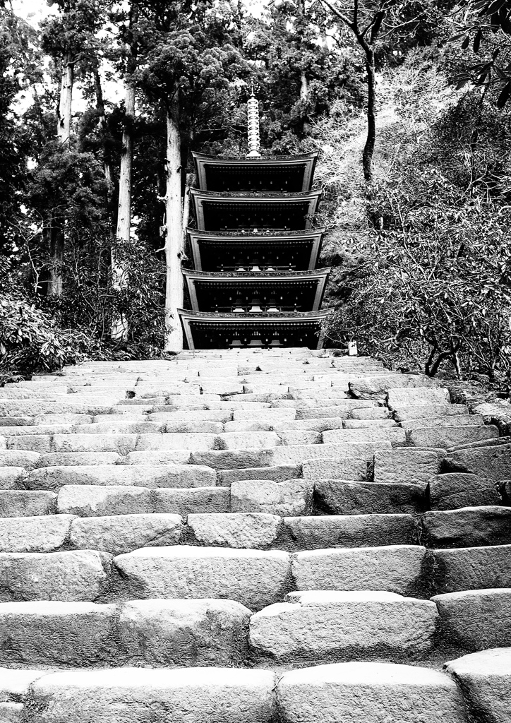 聳～室生寺～