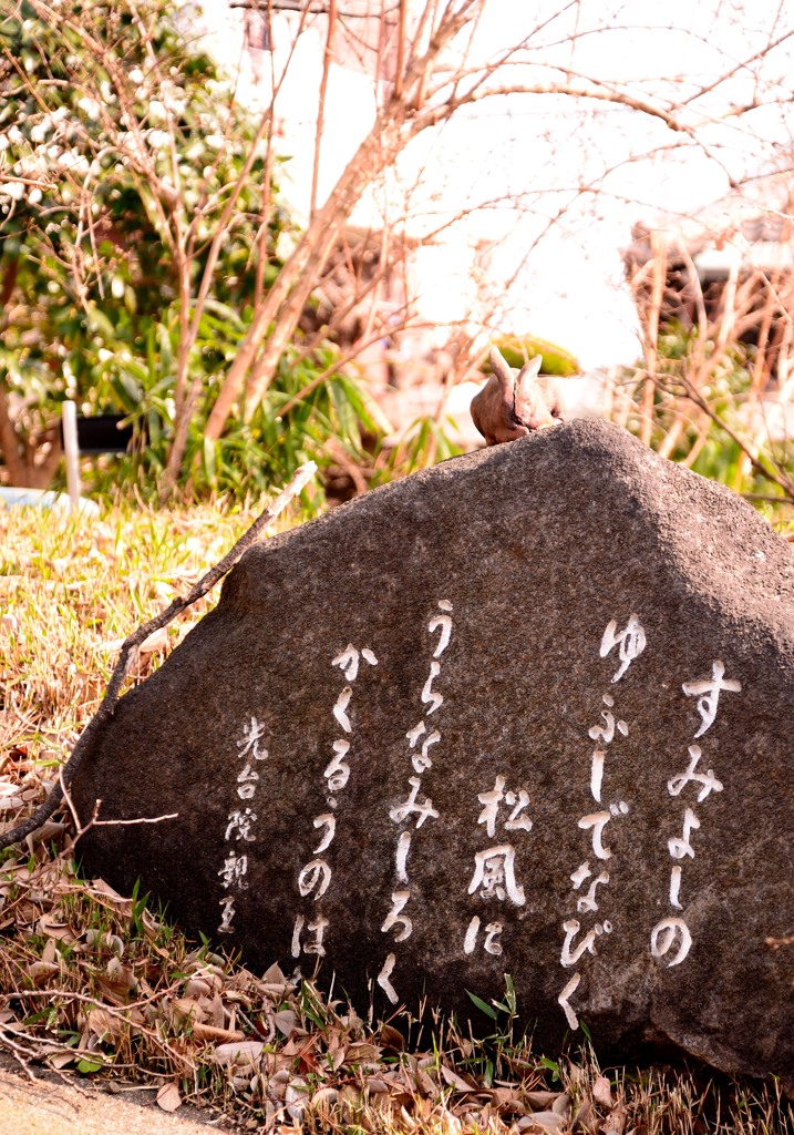 住吉大社のどこかにある石