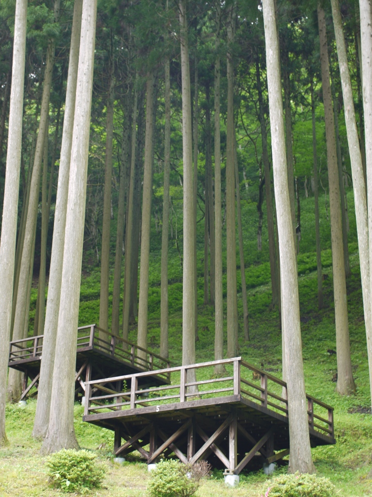 これは何の台？