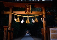 鳥居～辛國神社～