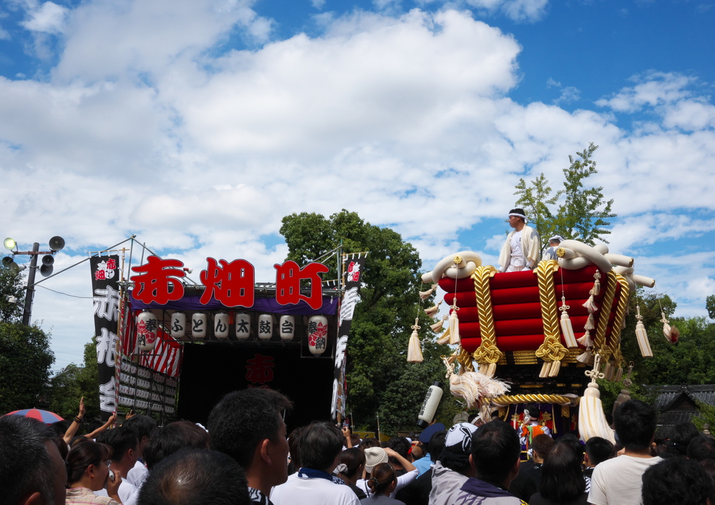 百舌鳥八幡宮 ふとん太鼓