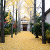 KURASHIKI・IVY SQUARE