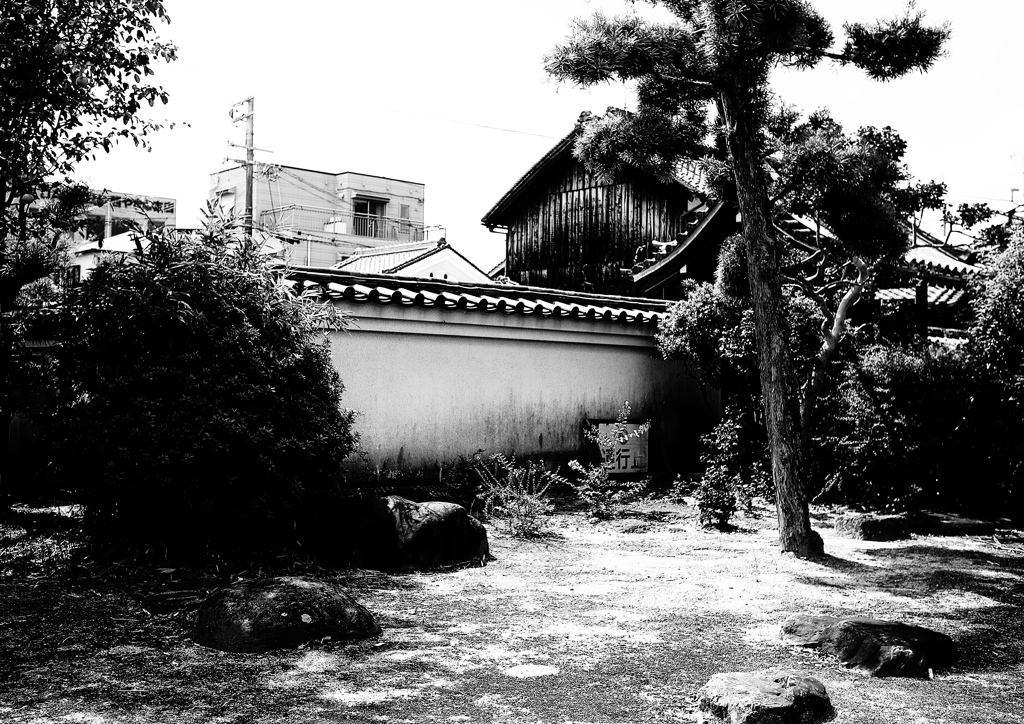 達磨寺境内