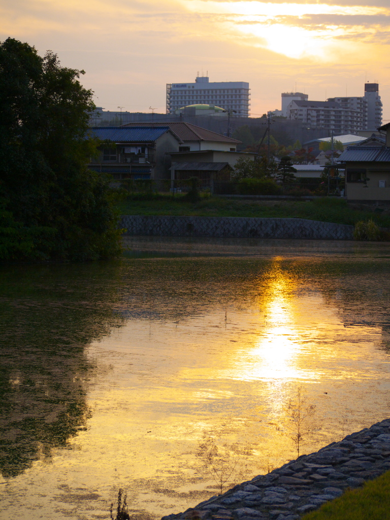 白鳥陵古墳と夕焼け