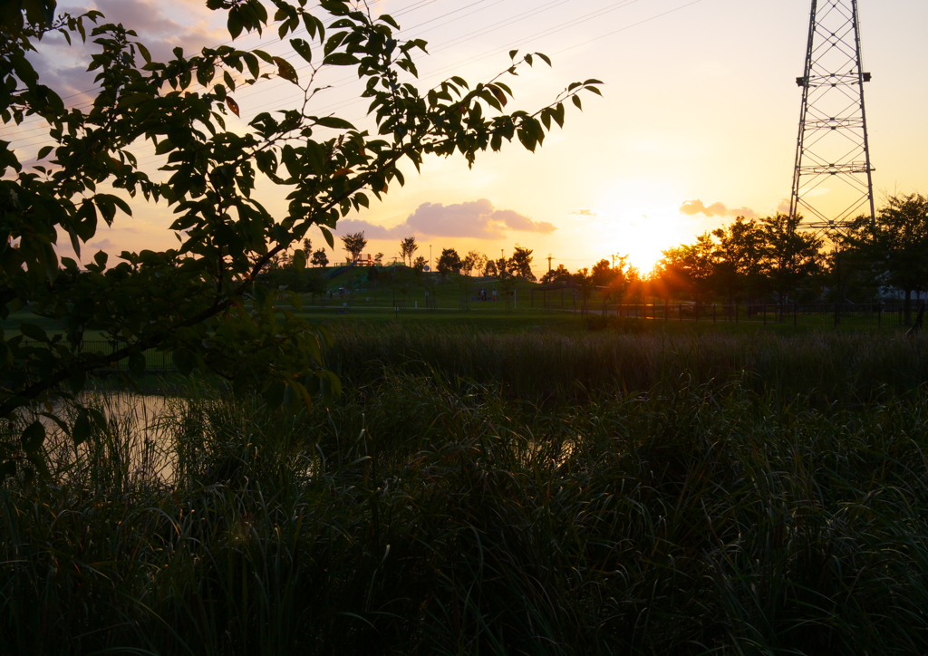 石川河川公園の夕焼け