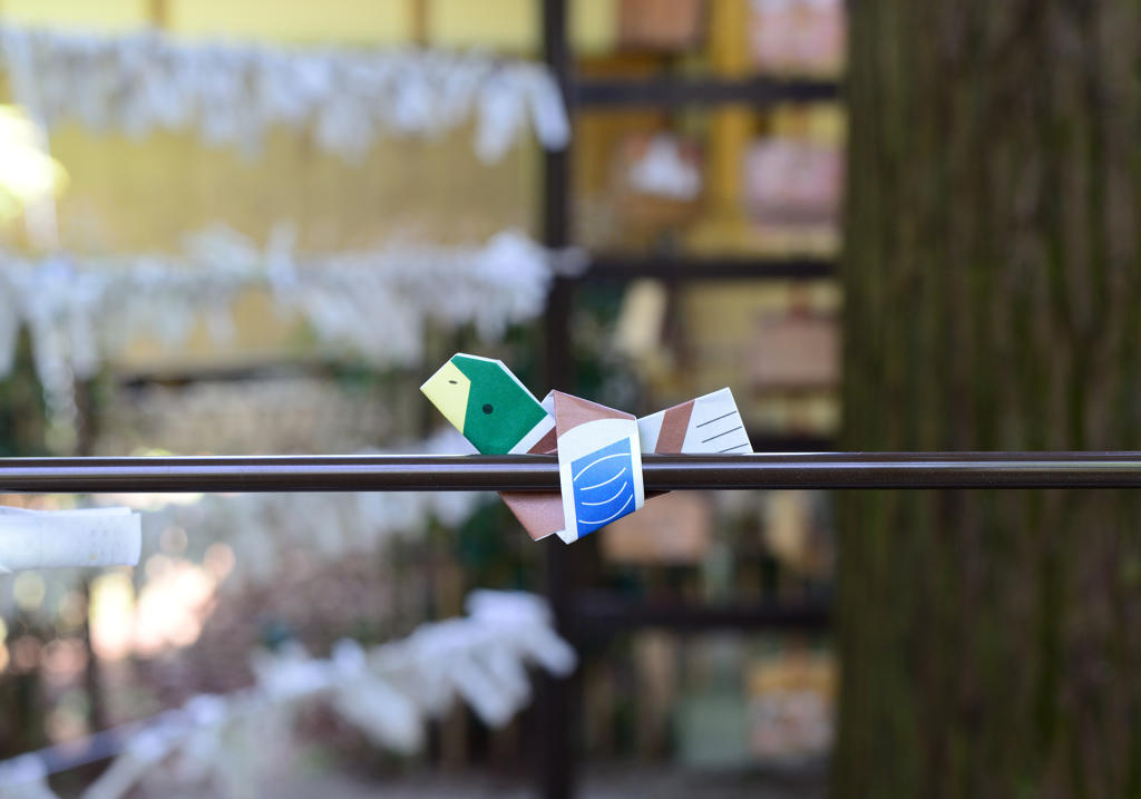 高鴨神社のおみくじ