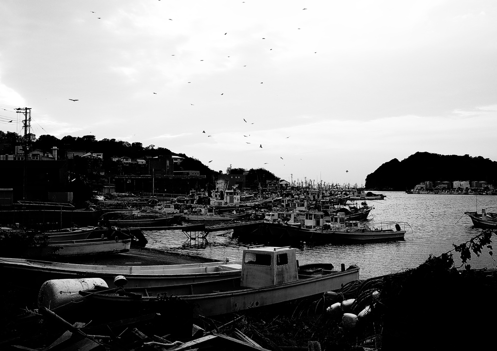 漁港～篠島～