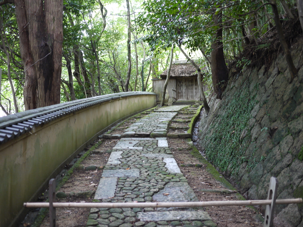 気になる入口