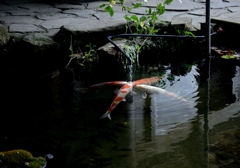 秘密の集会～羅漢寺～