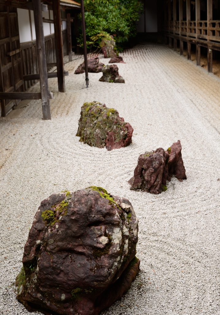 庭～金剛峯寺～