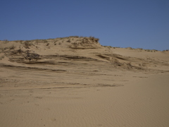 広大な砂漠