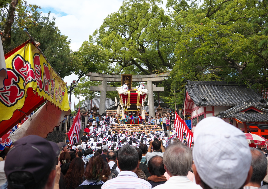 百舌鳥八幡宮 ふとん太鼓