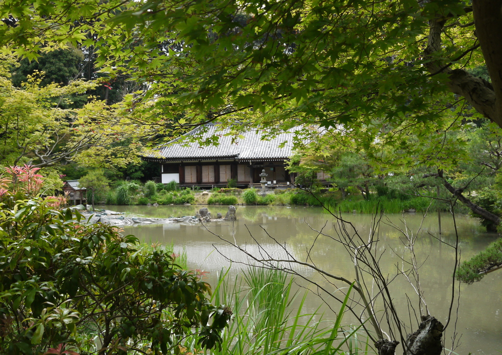 浄瑠璃寺