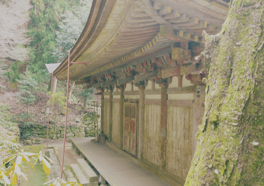 裏～室生寺～