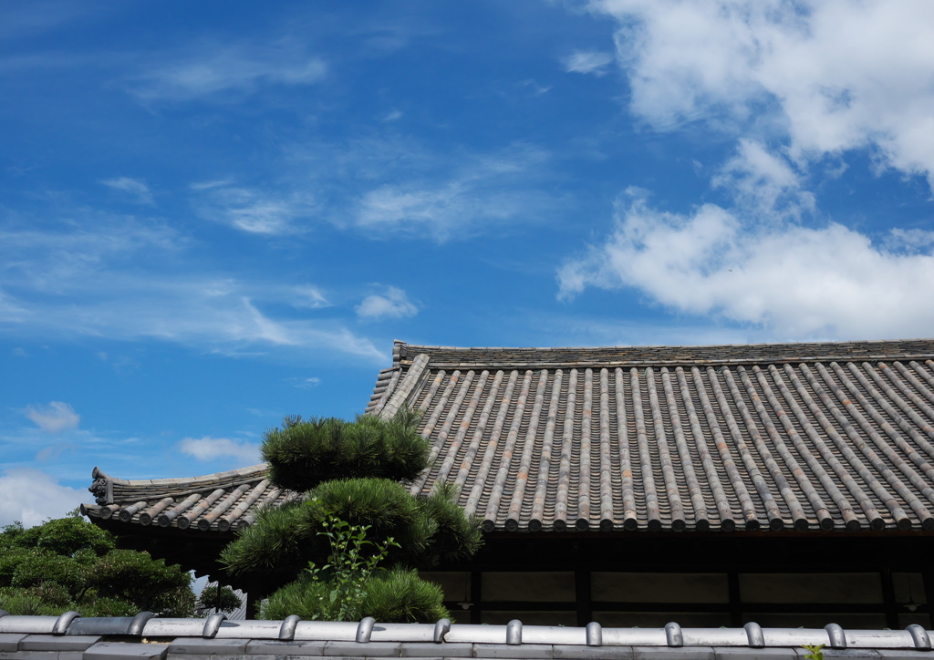 達磨寺