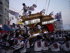 古市だんじり祭り2011-1