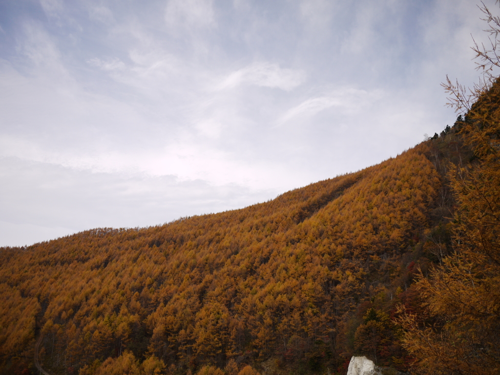 燃える山