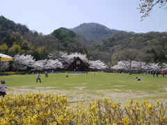 ミニチュア公園