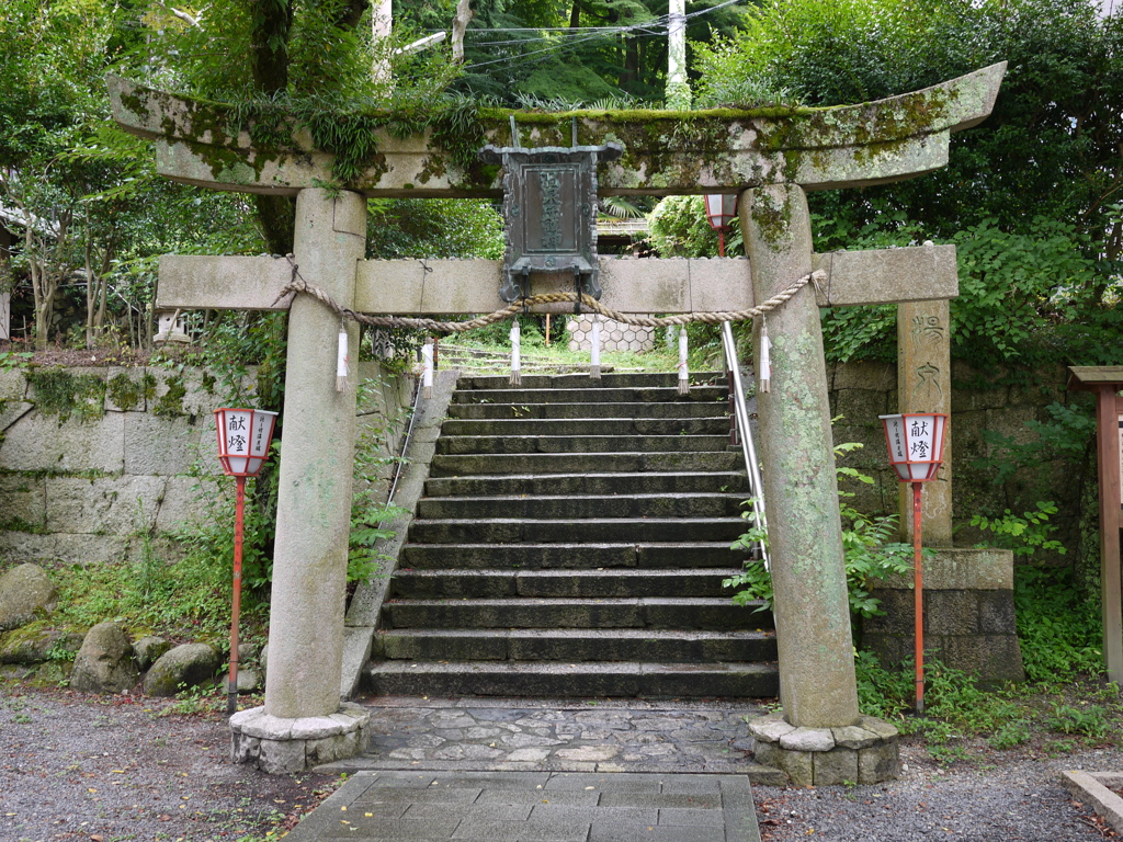 苔むす鳥居