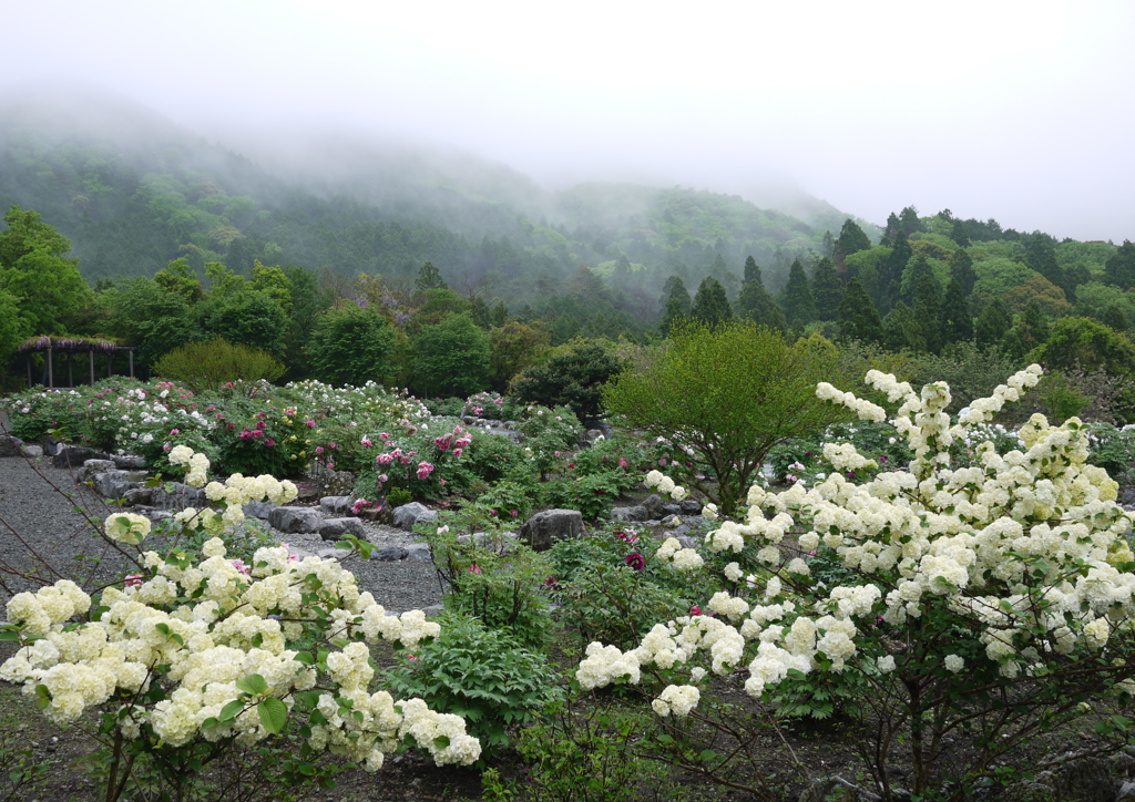 花園