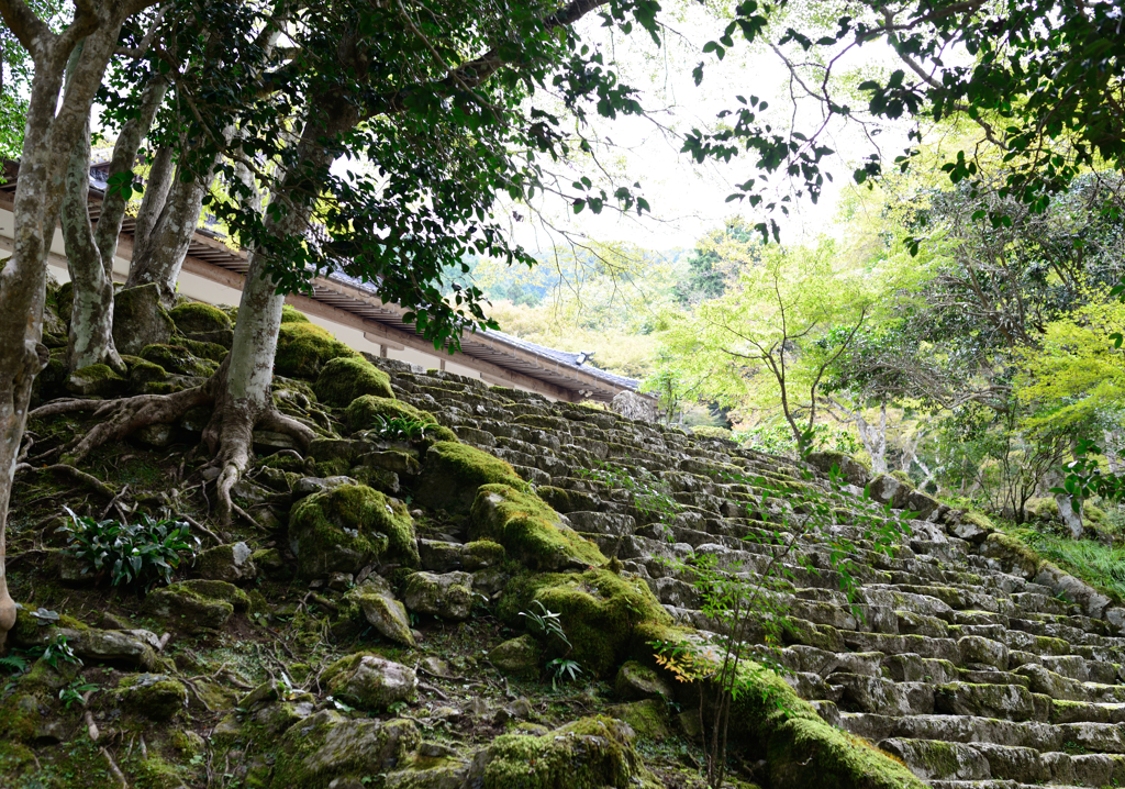 高源寺