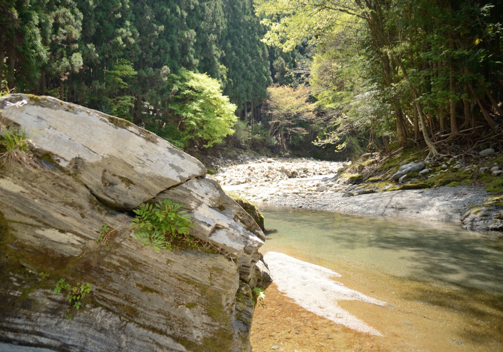 綺麗な川Ⅱ