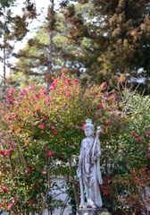 花と像～石光寺～