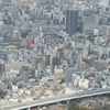 通天閣～ハルカスから見える色々～