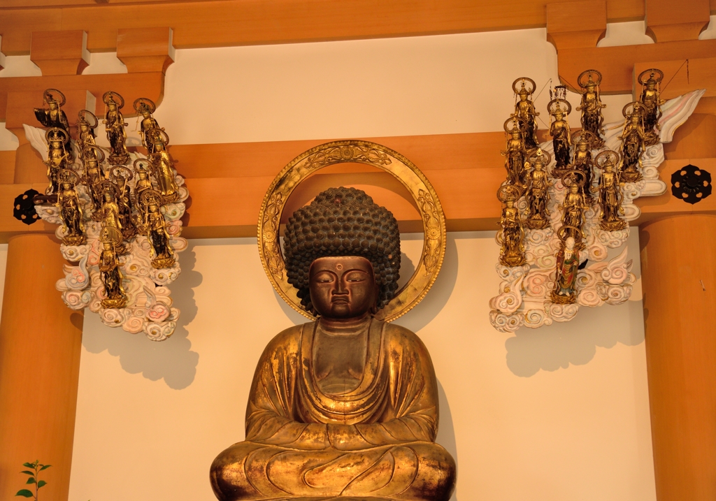 五劫思惟阿弥陀如来像～道成寺～