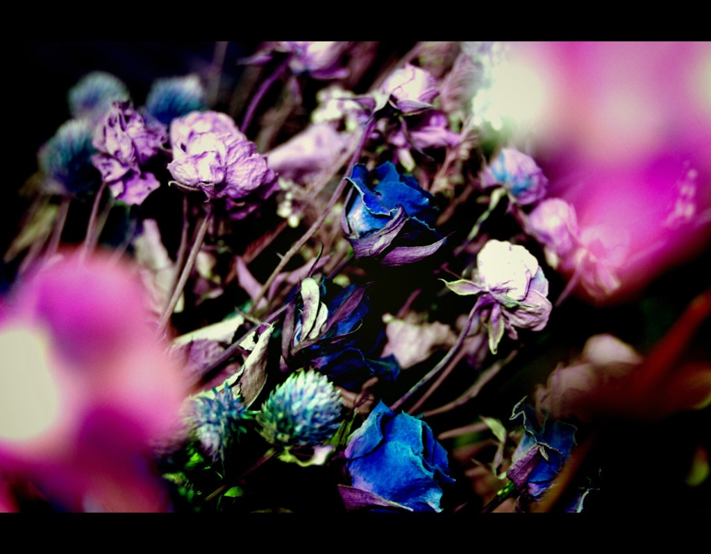 【flower】