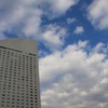 IMG_8518