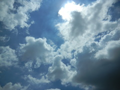 DSCN0731