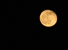 IMG_7795.jpg1