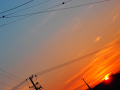P7050103
