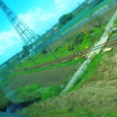 P8060409