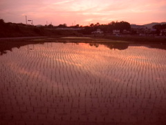 DSCN0347