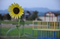 The end of summer