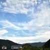 ルシェルブルー