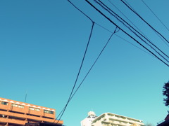 R0012029