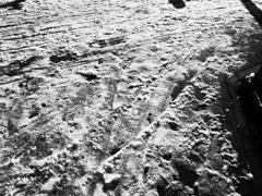 R0011457