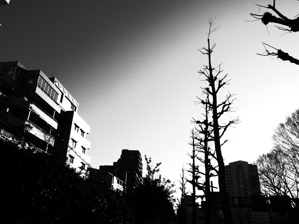 R0012013
