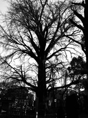 R0011926