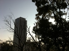 IMG_7120[1]