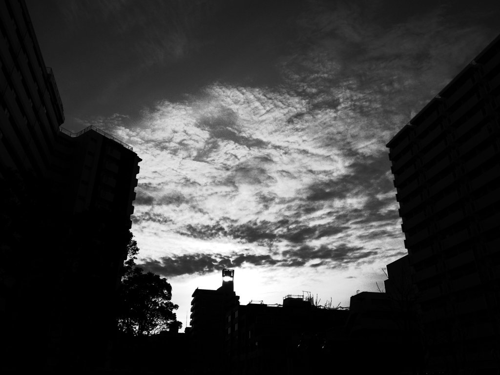 R0011190