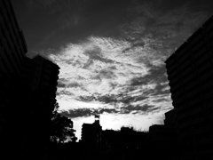 R0011190