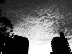 R0011216