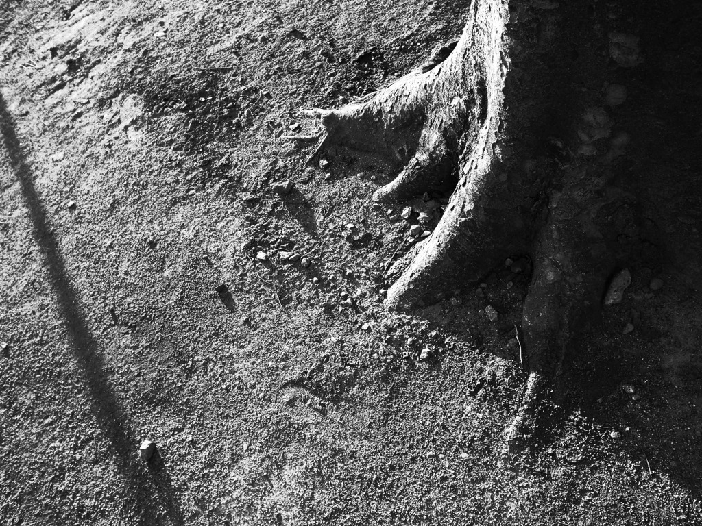 R0012208