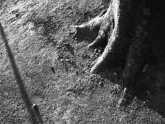 R0012208